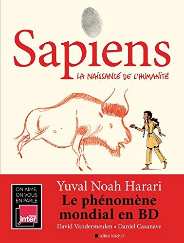 Yuval Noah Harari, Daniel Casanave, David Vandermeulen: Sapiens - tome 1 (Hardcover, ALBIN MICHEL)